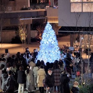 下北沢駅にもクリスマスツリー！