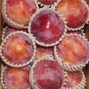 最高級のプラム「貴陽」が届きました！