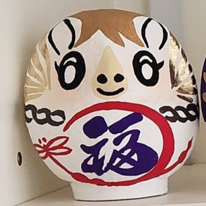 今年の干支の「午」のだるまが届きました！